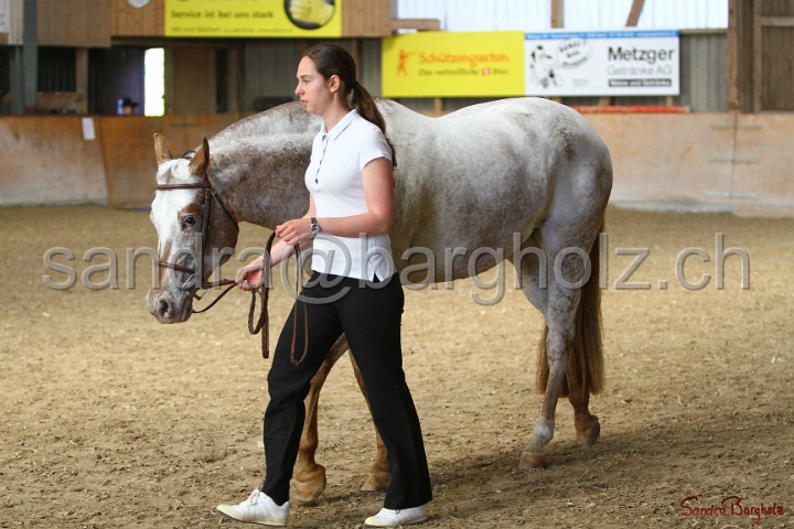 24-ApHC HIH_011.jpg